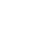 Website Development
